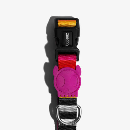 Zee.Dog Prisma Dog Collar