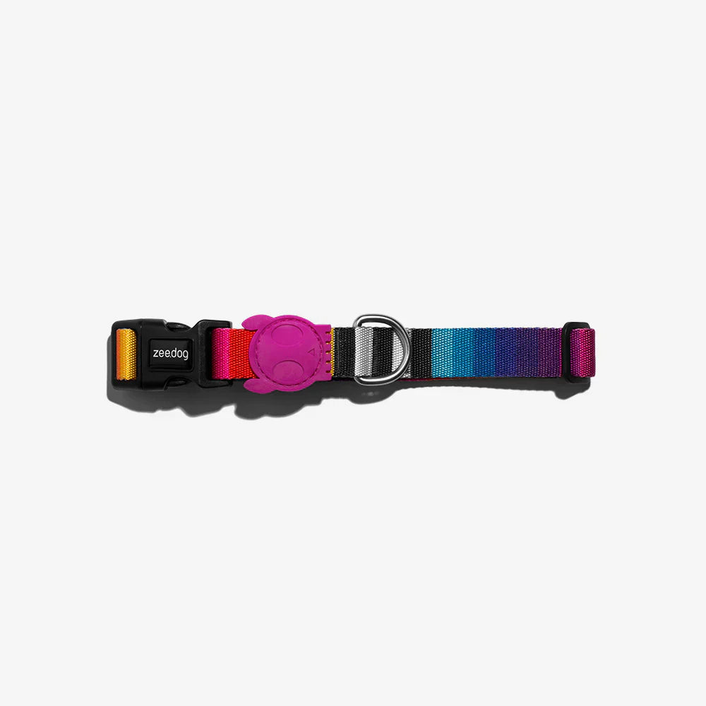 Zee.Dog Prisma Dog Collar