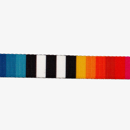 Zee.Dog Prisma Dog Collar