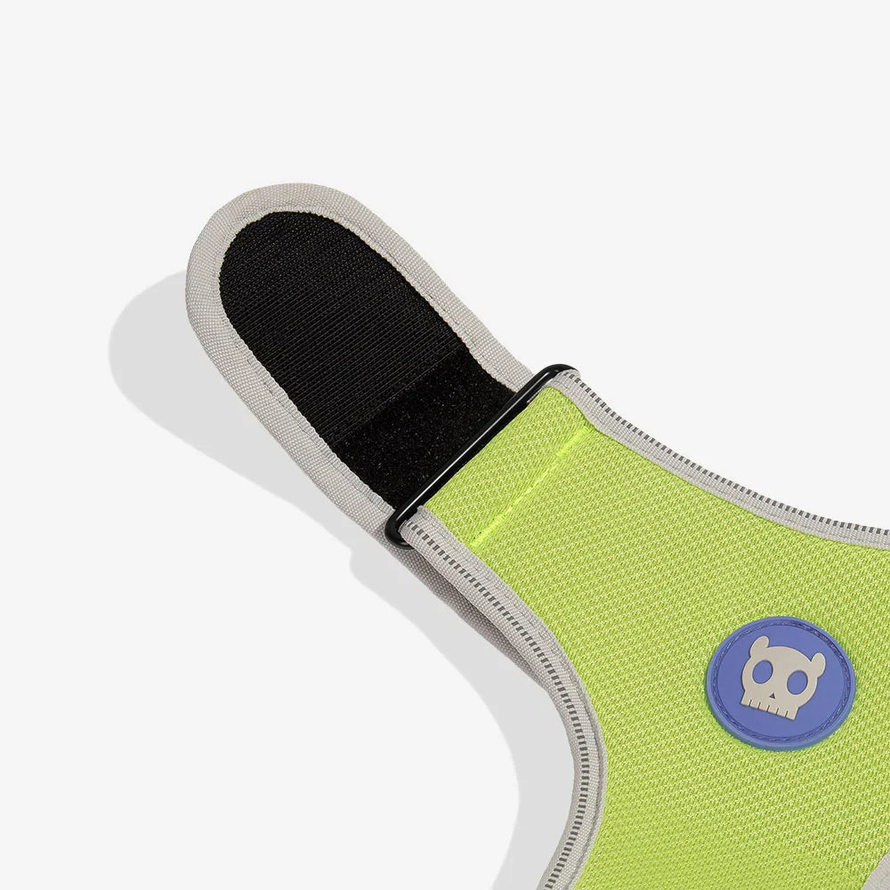 Zee.Dog Adjustable Air Mesh Harness for Dogs - NOX Lumen