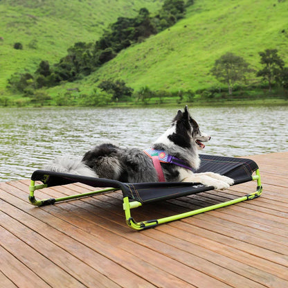Dog lying on an air bed dog bed by a lake with green hills in the background