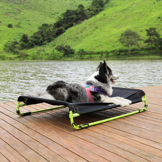 Dog lying on an air bed dog bed by a lake with green hills in the background