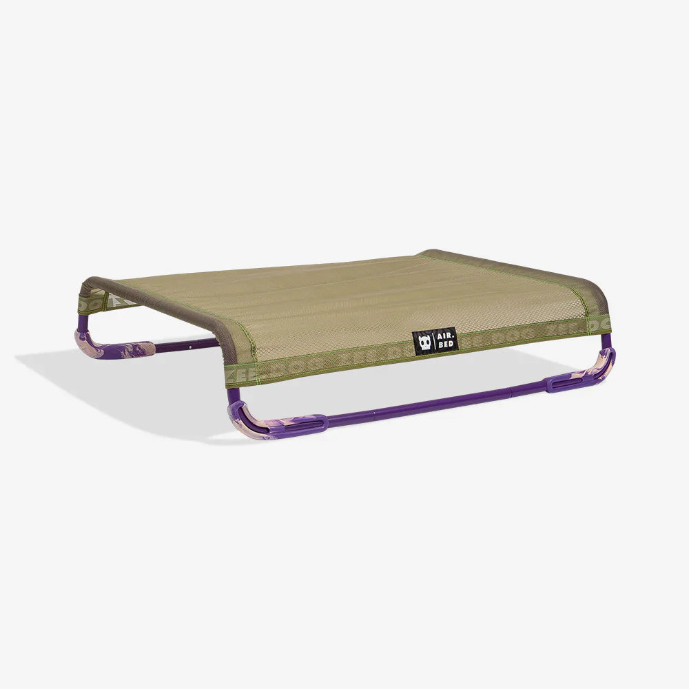 air bed with green mesh top and purple frame on a white background