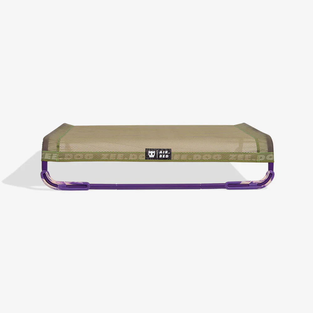air bed with mesh top and purple frame on a white background