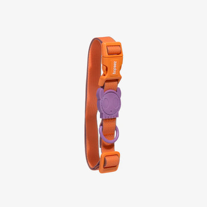 Zee.Dog Neopro Iris Dog Collar