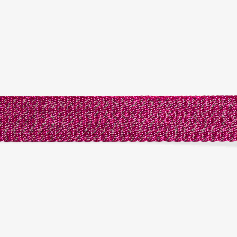 Zee.Dog Reflective Dog Collar - NOX Sidus