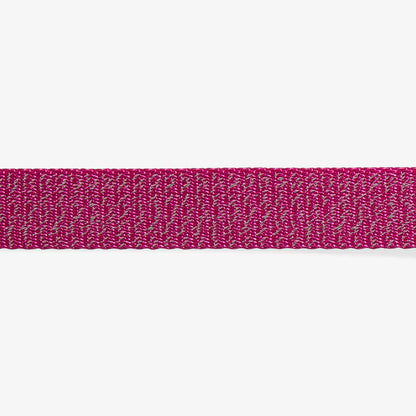 Zee.Dog Reflective Dog Collar - NOX Sidus