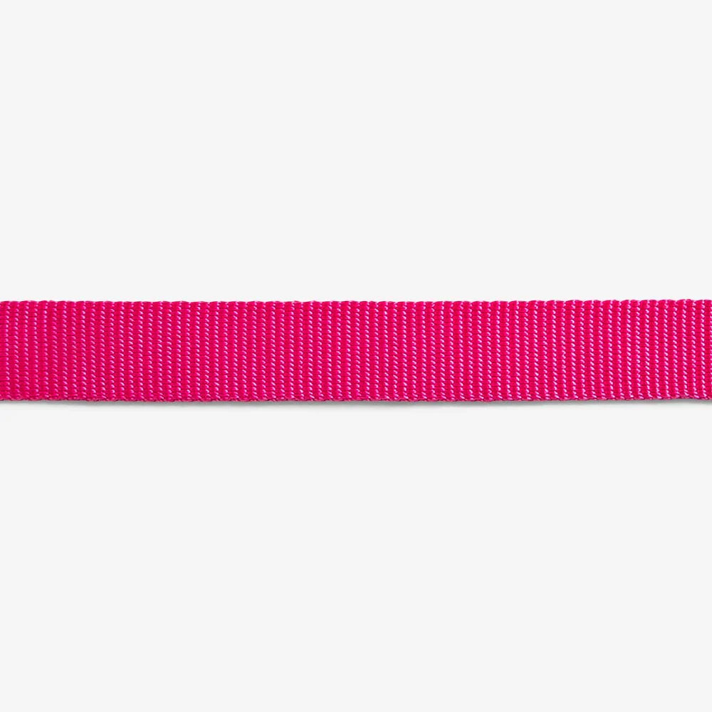Zee.Dog Pink LED Dog Collar