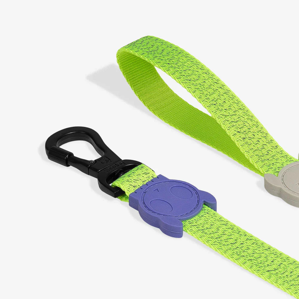 Zee.Dog Reflective Lead for Dogs - NOX Lumen
