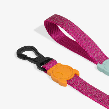 Zee.Dog Reflective Lead for Dogs - NOX Sidus
