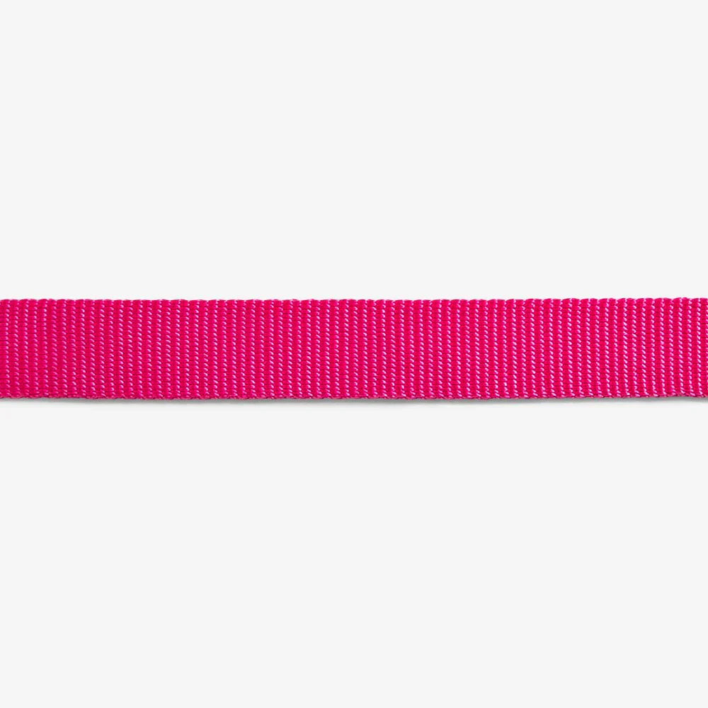 Zee.Dog Pink LED Dog Lead