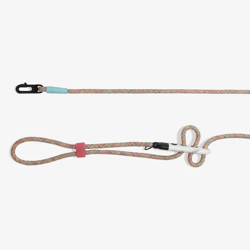 Zee.Dog Hands-Free Dog Lead - Gravity