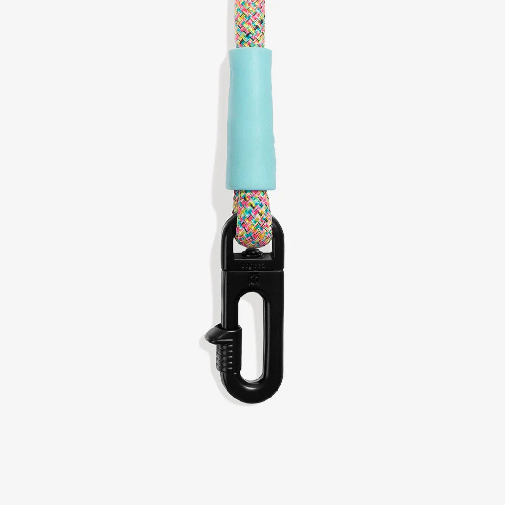 Zee.Dog Hands-Free Dog Lead - Gravity