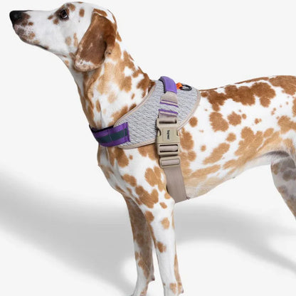 Zee.Dog ACG FlyHarness
