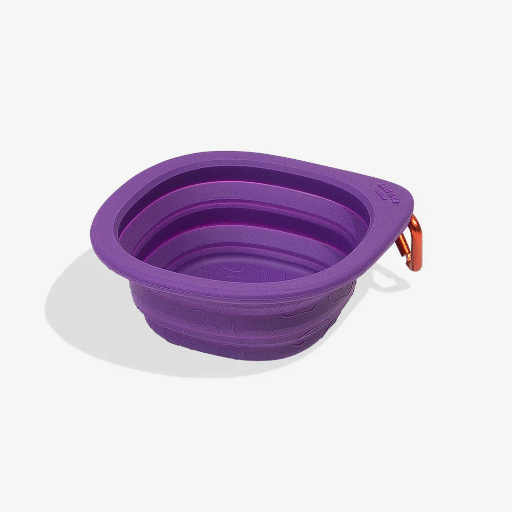 water bowl