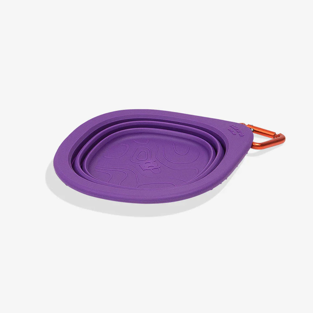 water bowl collapsed