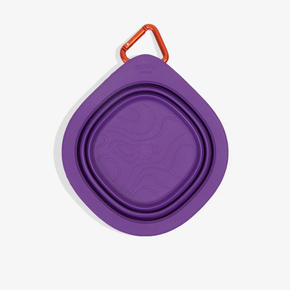water bowl collapsed from above