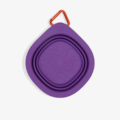 water bowl collapsed from above