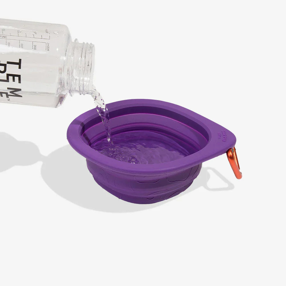 water bottle pouring water into bowl