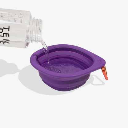 water bottle pouring water into bowl