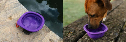 collage of water bowl by water and dog drinking from bowl