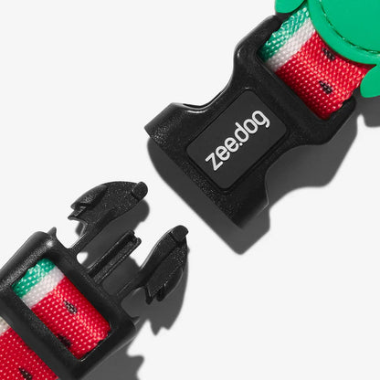 clip feature close up