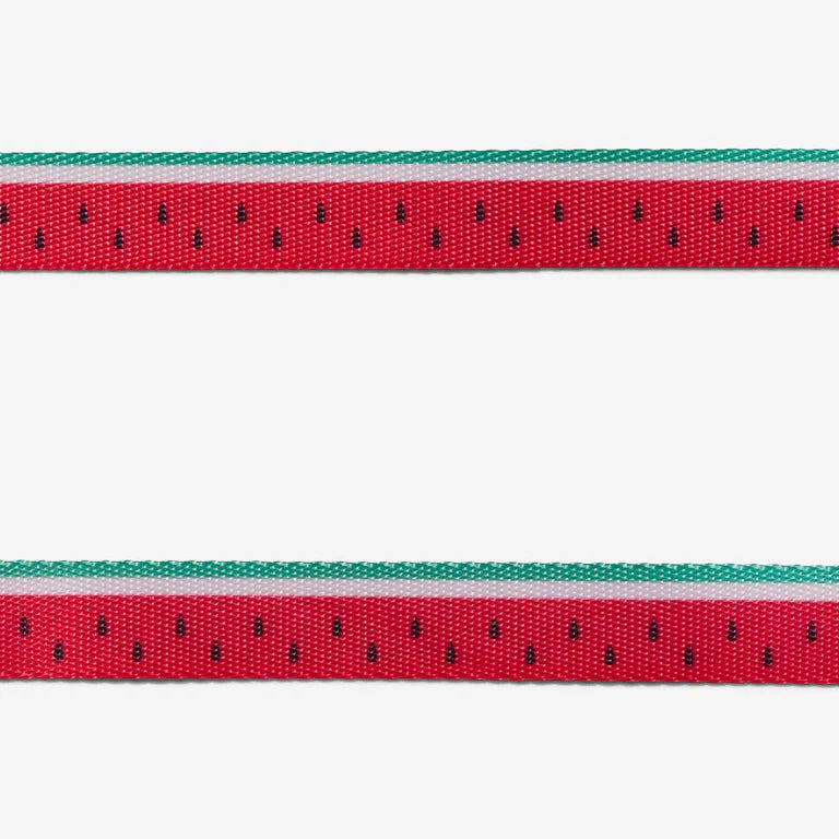 close up of lead