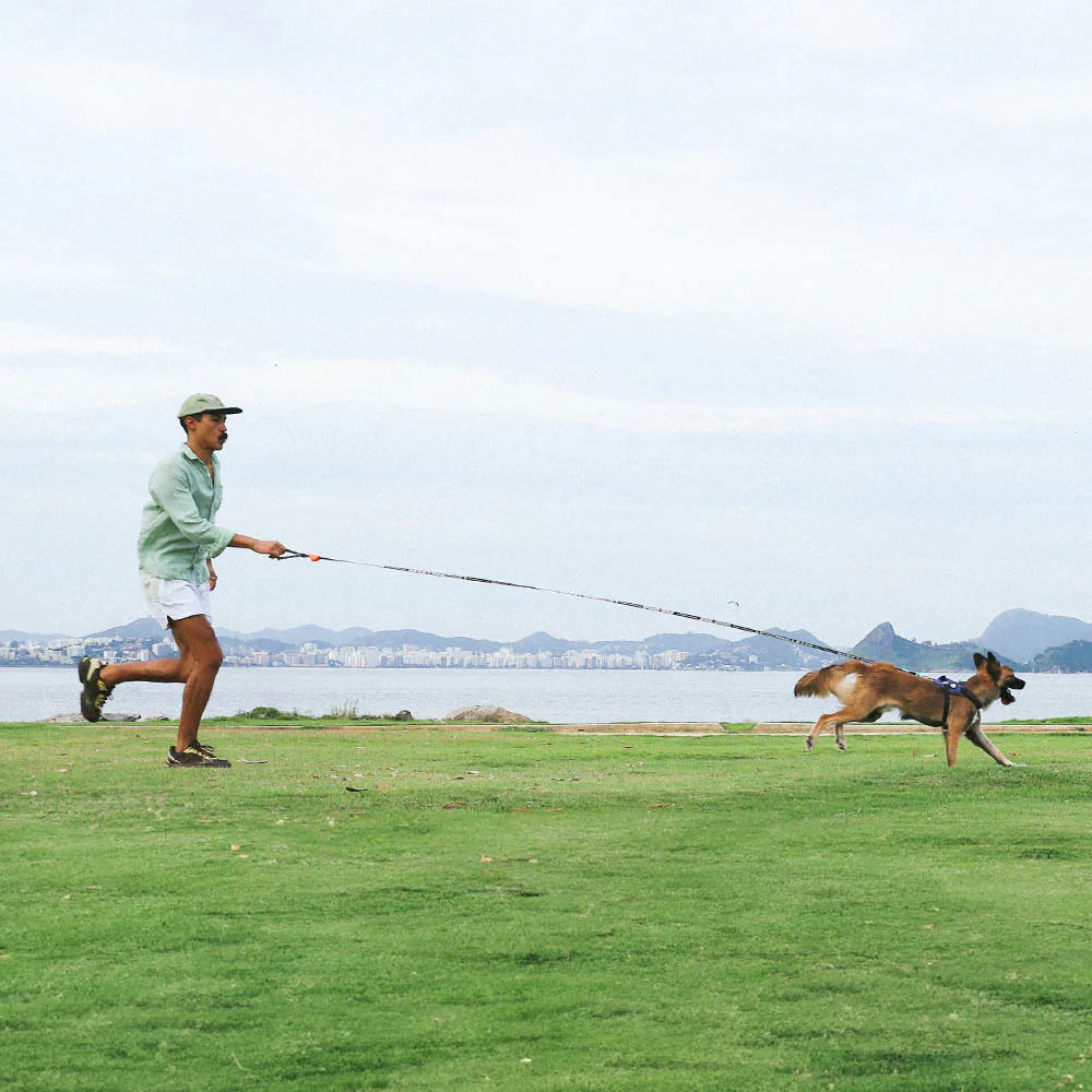 Zee.Dog Long Lead - Leopard