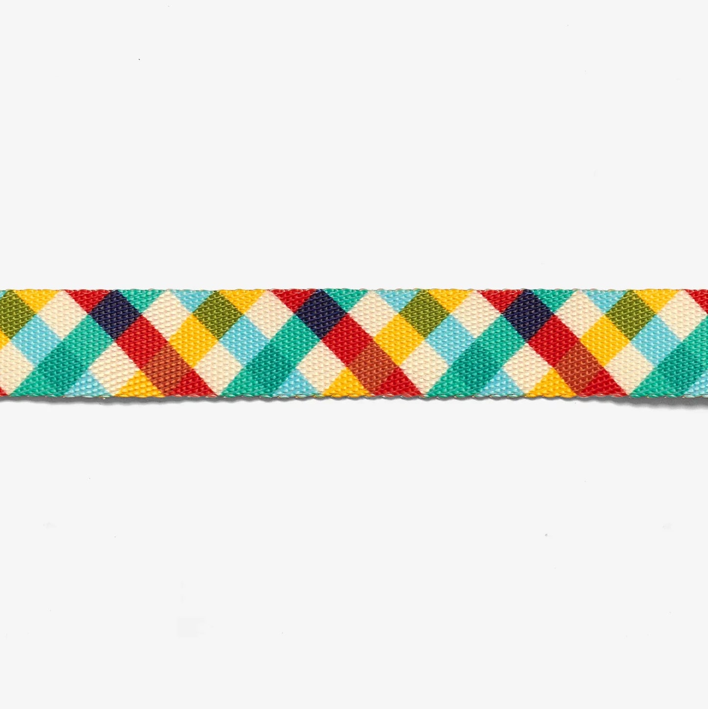 Zee.Dog Phantom Dog Collar
