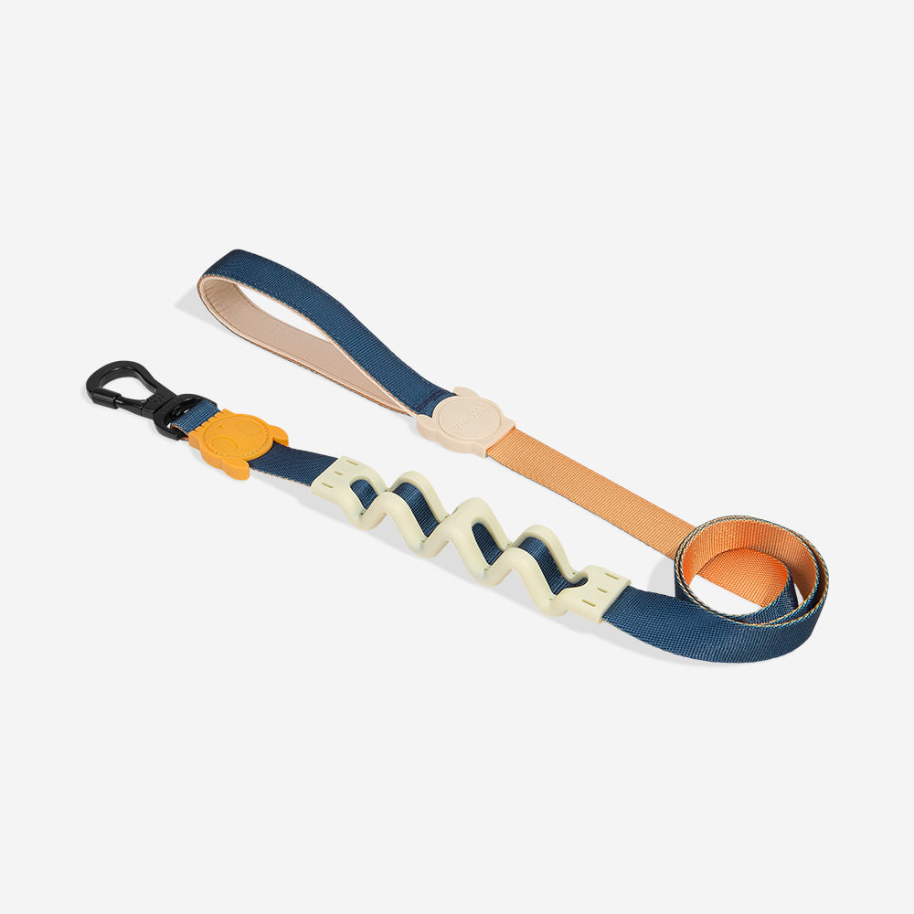 Zee.Dog Ruff Leash 2.0 Dog Lead - Voyage