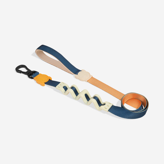 Zee.Dog Ruff Leash 2.0 Dog Lead - Voyage