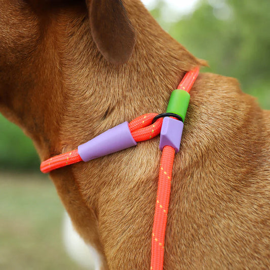 Zee.Dog Slip-N-Lock Slip Lead for Dogs - Everest
