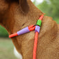 Zee.Dog Slip-N-Lock Slip Lead for Dogs - Everest