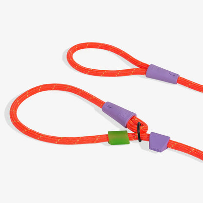 Zee.Dog Slip-N-Lock Slip Lead for Dogs - Everest