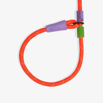 Zee.Dog Slip-N-Lock Slip Lead for Dogs - Everest