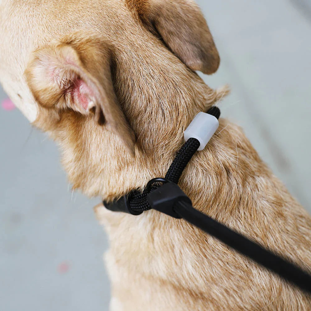 Zee.Dog Slip-N-Lock Slip Lead for Dogs - Gotham
