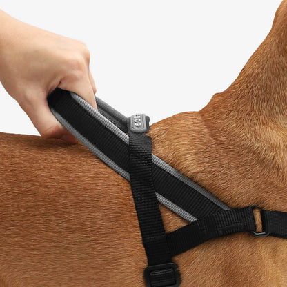 Zee.Dog Gotham SofterWalk Harness