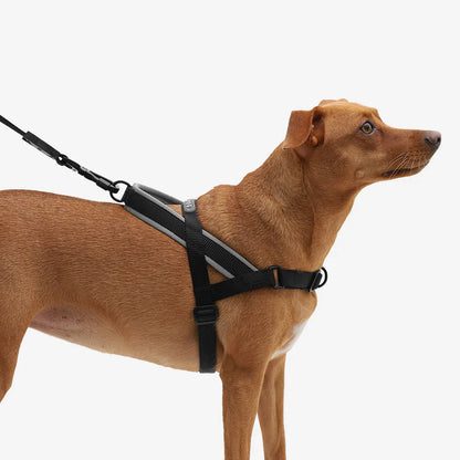 Zee.Dog Gotham SofterWalk Harness