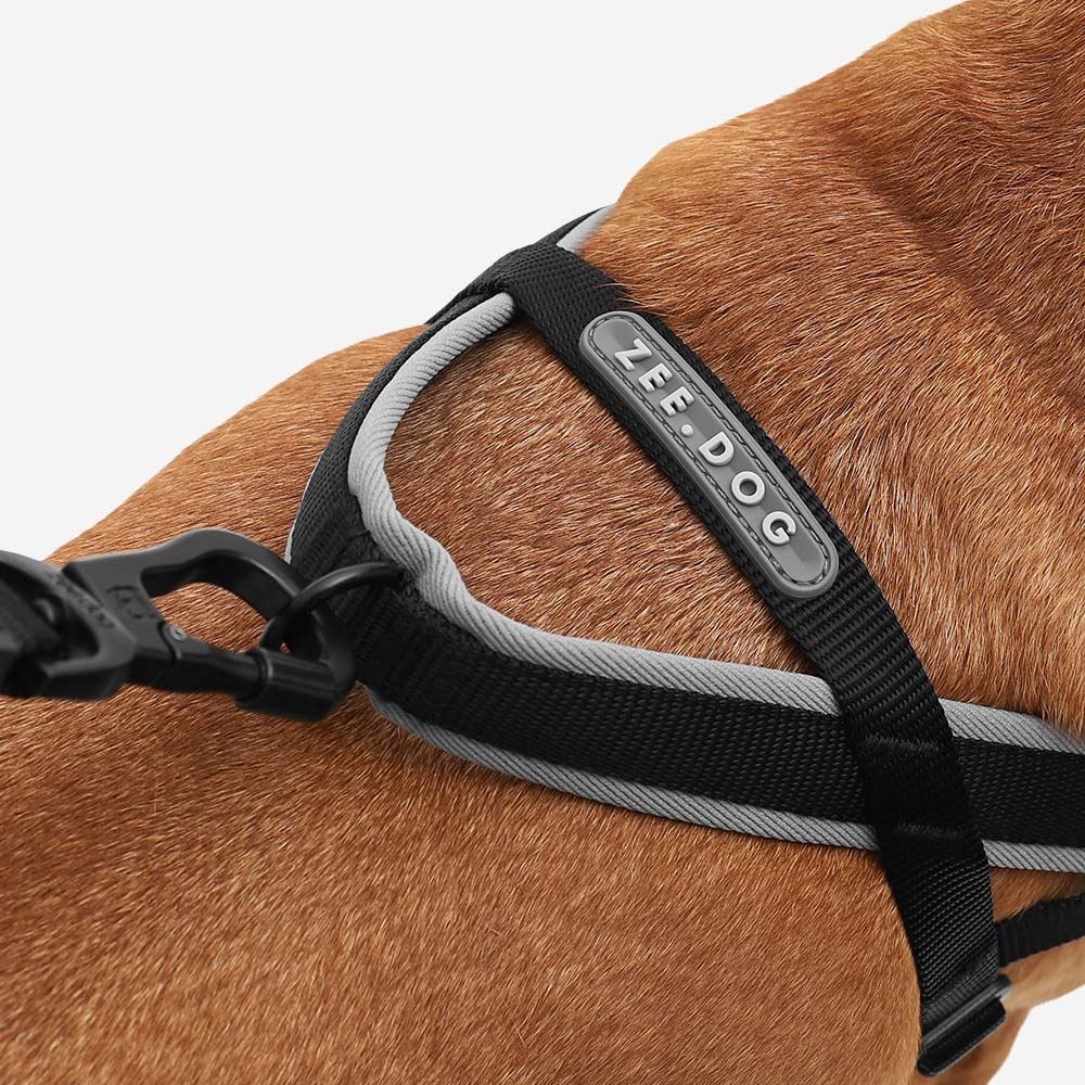 Zee.Dog Gotham SofterWalk Harness
