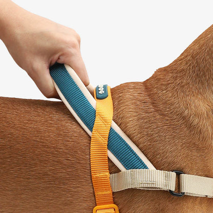 Zee.Dog Voyage SofterWalk Harness