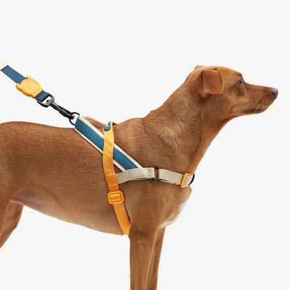 Zee.Dog Voyage SofterWalk Harness