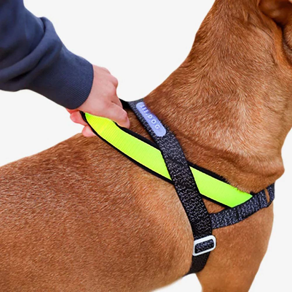 Zee.Dog Nox SofterWalk Dog Harness