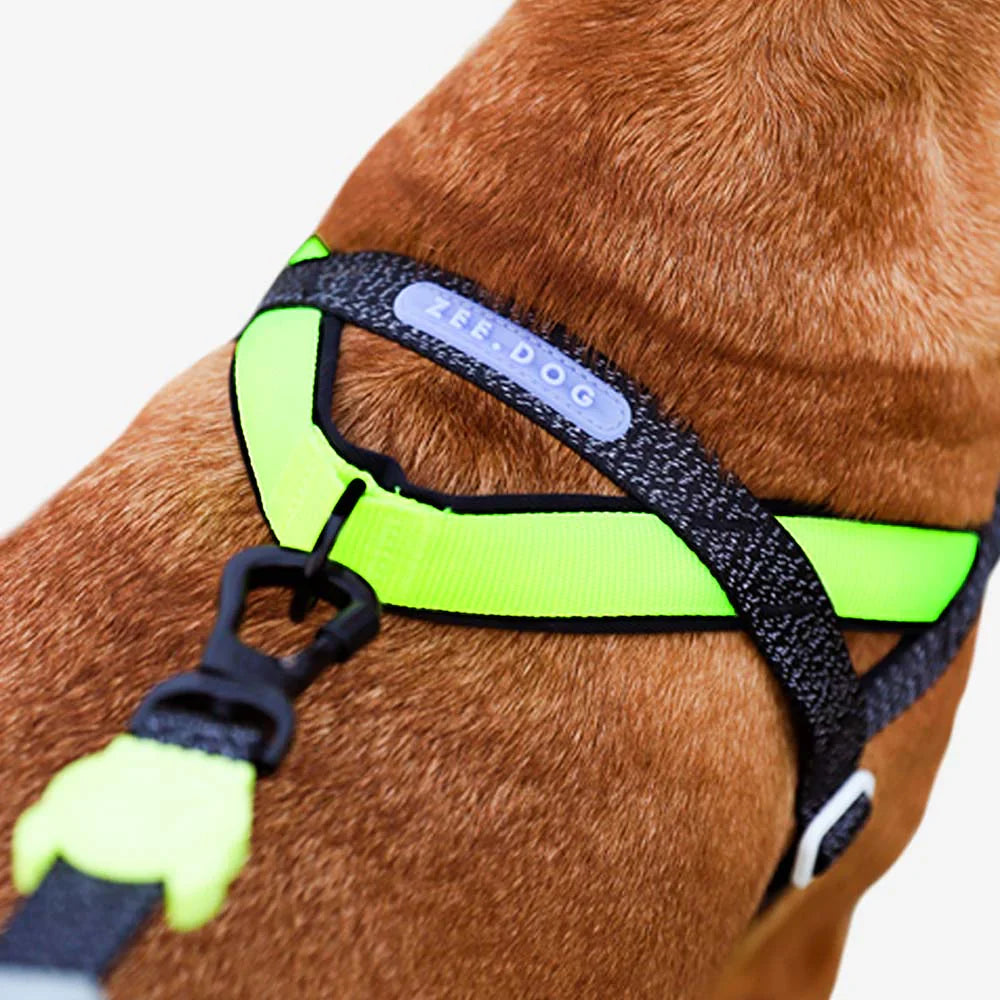 Zee.Dog Nox SofterWalk Dog Harness