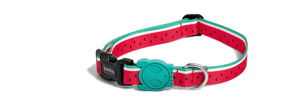 Zee.Dog Lola Dog Collar