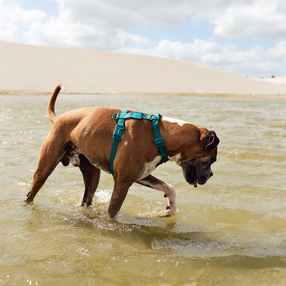 Zee.Dog Neopro Amazonia Dog H-Harness
