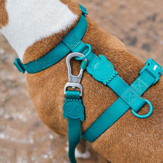 Zee.Dog Neopro Amazonia Dog H-Harness