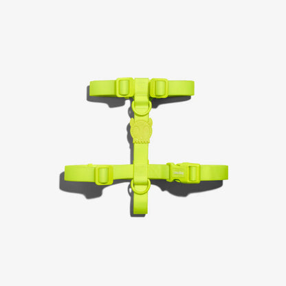 Zee.Dog Neopro Lime Dog H-Harness