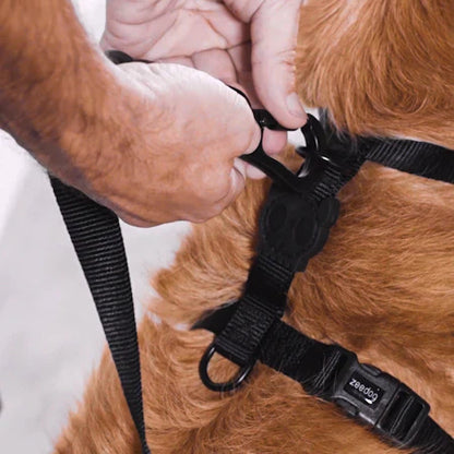 Zee.Dog Neopro Lime Dog H-Harness