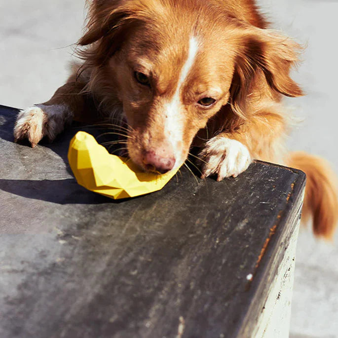 Zee.Dog Super Banana Toy