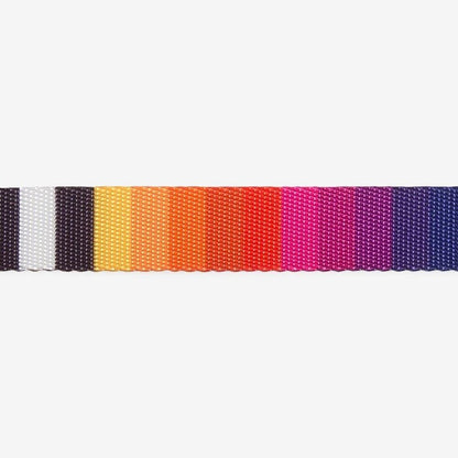 Zee.Dog Classic Dog Lead - Prisma